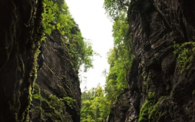 Do You Understand the Words Coming Out of My Mouth?