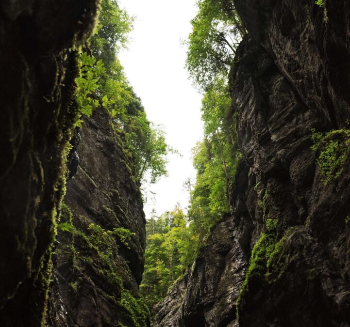 Do You Understand the Words Coming Out of My Mouth?