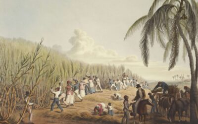 Do I Need to Apologize for Slavery?