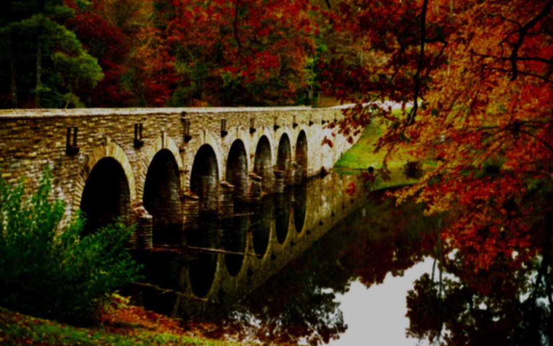 What Made Racial Violence Real to Me