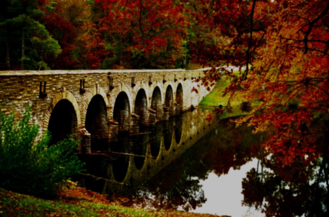 What Made Racial Violence Real to Me