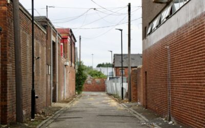 Who Will Protect This House?