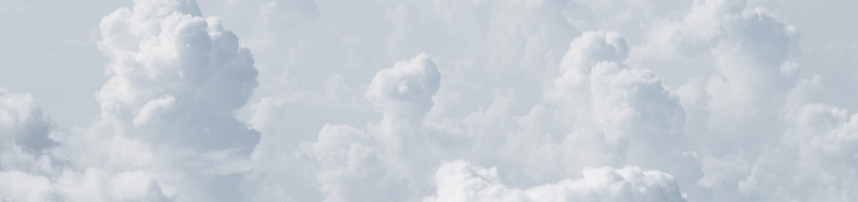 Screen Shot 2021-08-23 at 11.45.37 PM.png