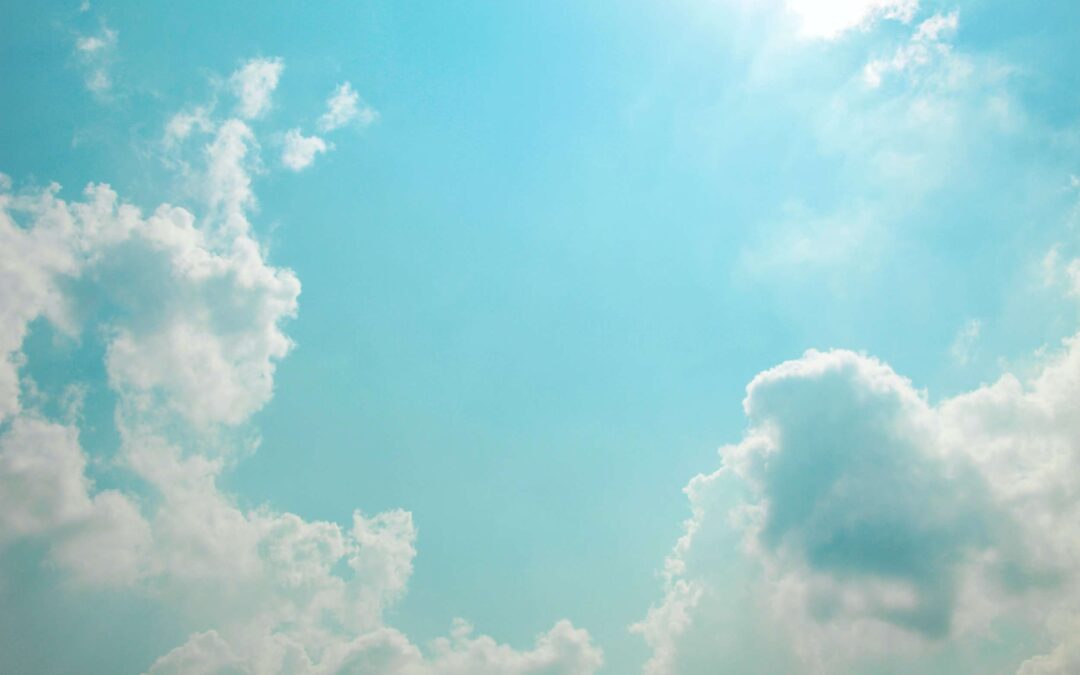 A Bigger Vision for Diversity