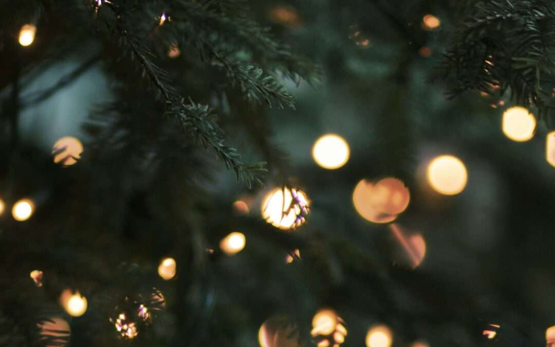 Lessons from the Incarnation