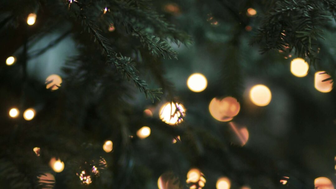 LESSONS FROM THE INCARNATION