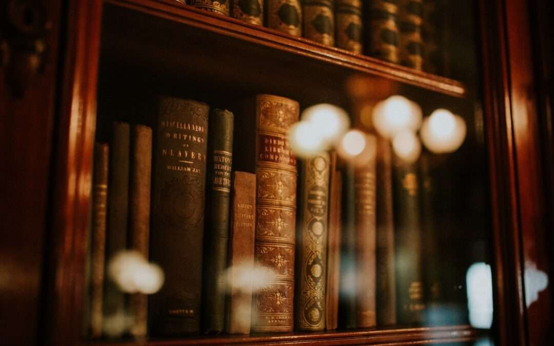 Bavinck on Race, Experience, and Theology