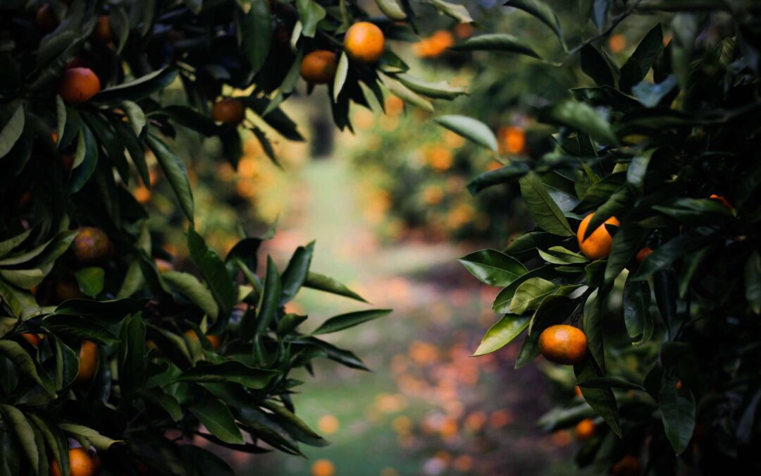 Don’t Celebrate Unkindness